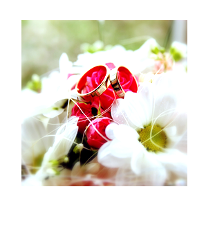 eventos